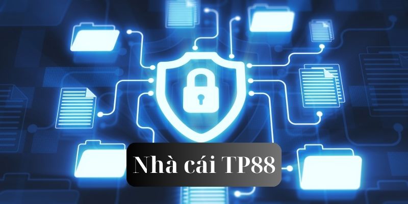 Quyền truy cập thông tin bet thủ của nhà cái