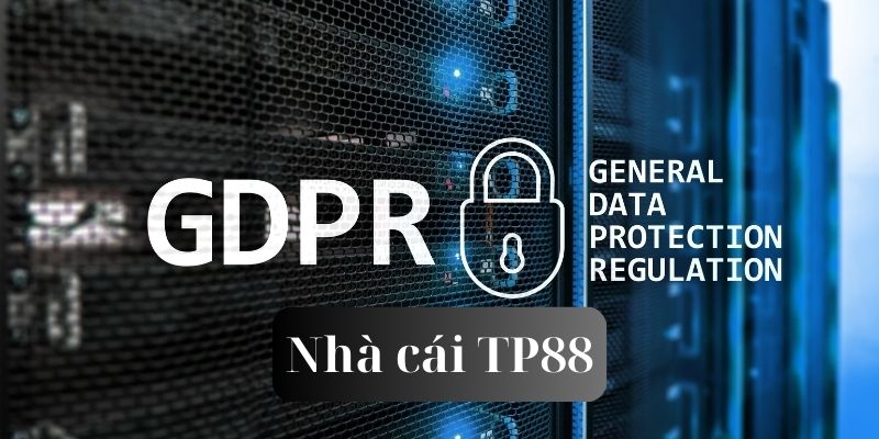 Người chơi có quyền sử dụng thông tin mình ra sao
